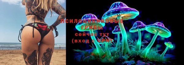 мдма Медвежьегорск