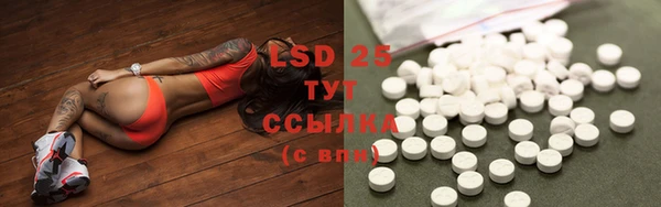 спиды Белая Холуница