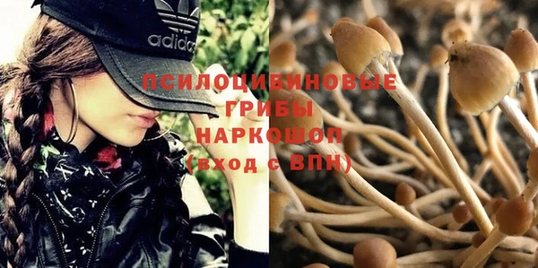 трава Медногорск