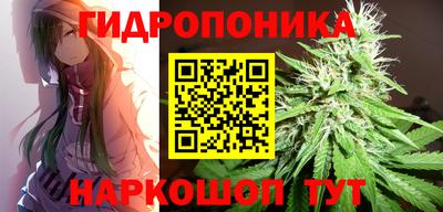 шишки Заводоуковск