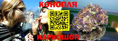 шишки Заводоуковск