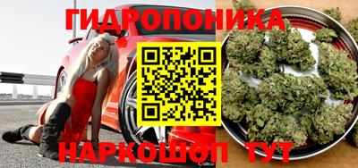 Альфа ПВП Заволжье