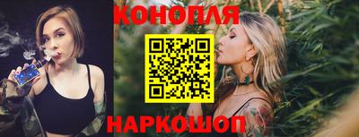 шишки Заводоуковск