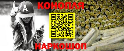 шишки Заводоуковск